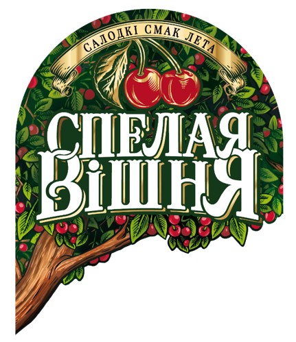 Спелая вишня.jpg