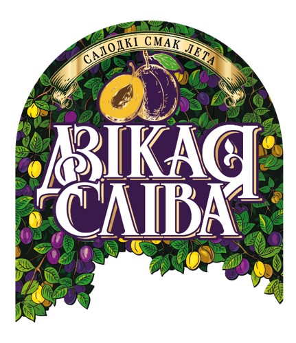 Дзикая арония.jpg